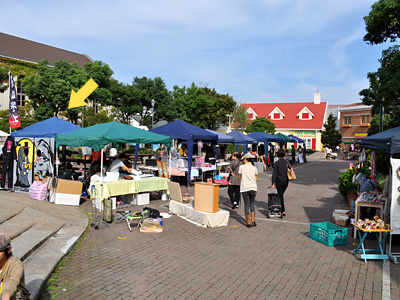 ほぼグラ猫見えません