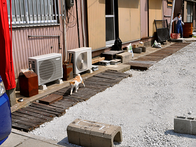 352）何とかしよう企画の話　その43