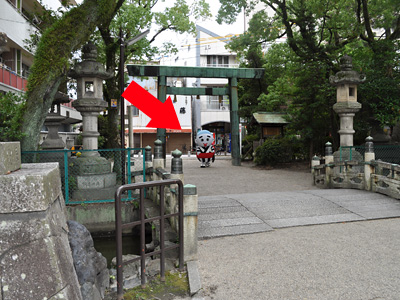 ソロ活動のこにゅうどうくん!? たおちる