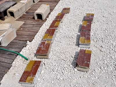 438）地味に筋肉痛な月曜日って話