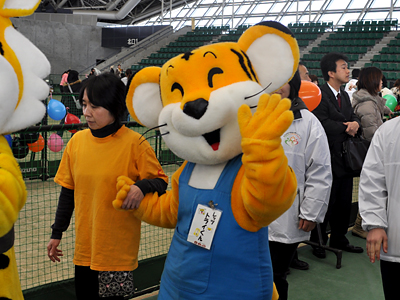 110129@四日市ドームのイベント 439)結局のトコロ、グラ猫でゆるキャラってどーなの?って話