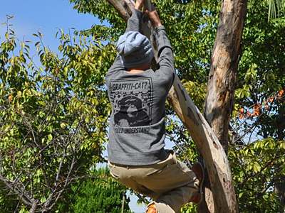 474）今日は晴れたので、ようやく・・・って話