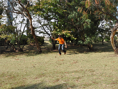 片手にはちょっと大きめの枝