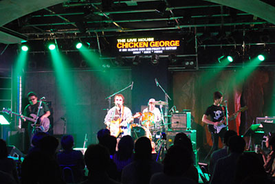 こんな有名な会場でグラ猫が!