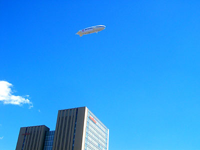 合成っぽいけど本物です。ゴリアテではない。