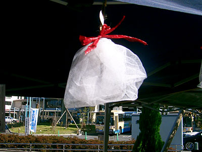 ピントが微妙にあってません