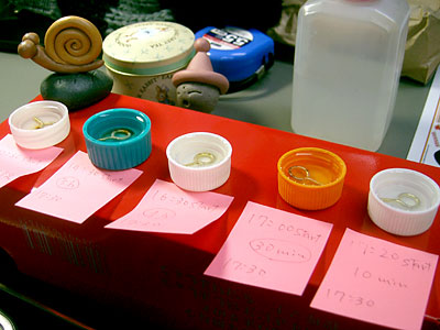 17:20頃の全体図