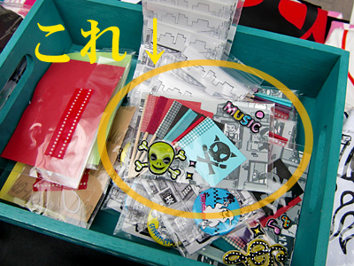 専用ケースの予定でしたよ!