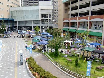 うちのノボリ、見えるかなぁ?