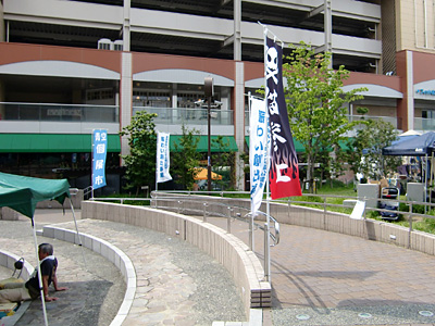 うちのが一番格好いいな!