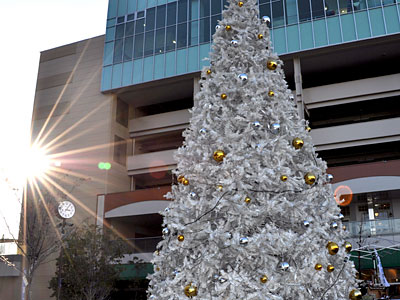 会場のクリスマスツリー!
