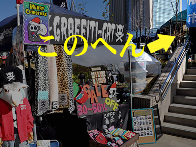 ちゃんと写してなかった