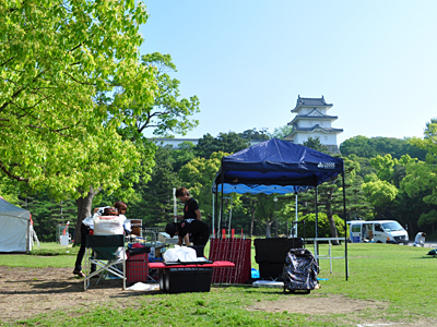 準備中のグラ猫