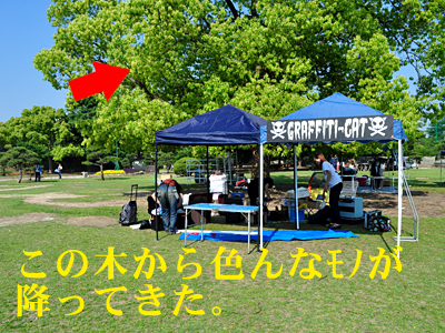 少し木陰だったのはありがたい