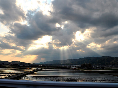 366）何とかしよう企画の話　その43