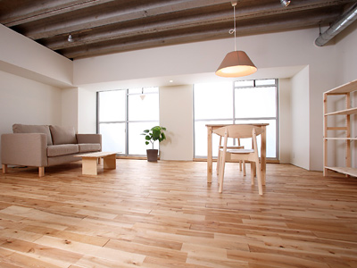 イメージ素材でございます