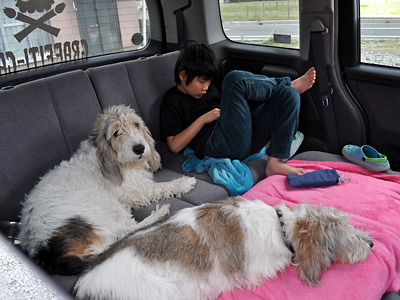 でもゲームしてる