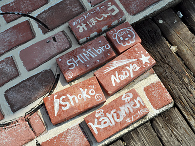 ボクの出入り口付近のやつ