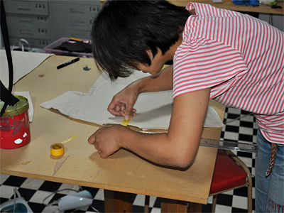 フランケンテスト