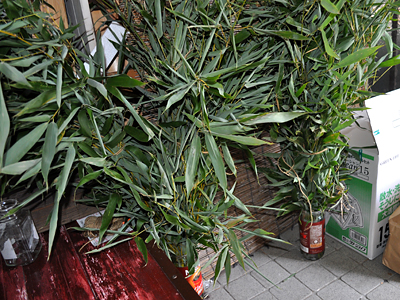 青々としてるな