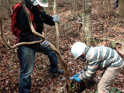 小3にはかなりしんどいっぽい