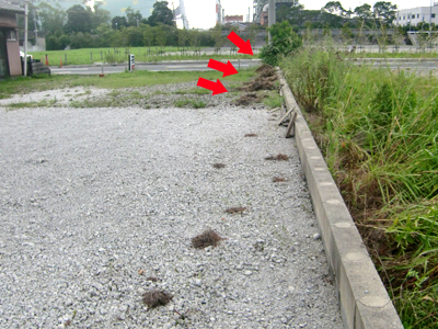 なかなかの重労働