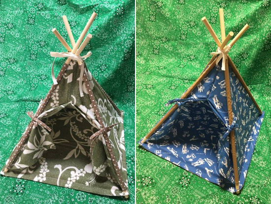 カルメンティピーテント