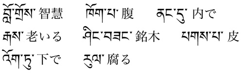 今週の一言単語