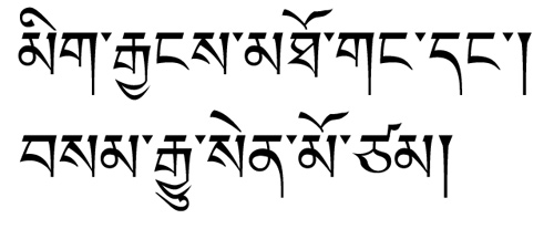 今週のひとこと本文