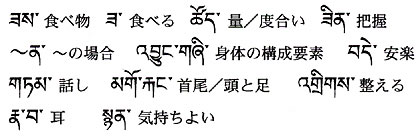 今週の一言単語