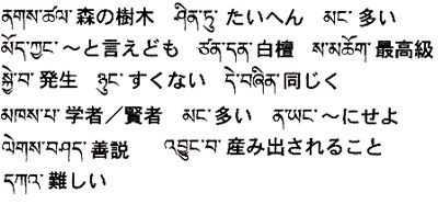 今週の一言単語