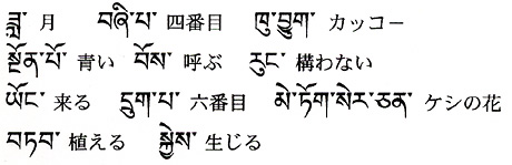 今週の一言単語