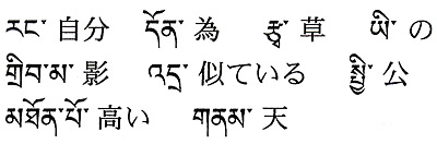 今週の一言単語
