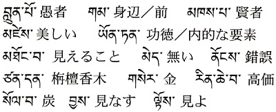 今週の一言単語