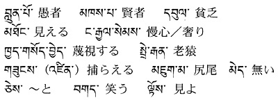 今週の一言単語