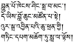 今週の一言本文