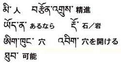 今週の一言単語