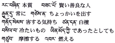 今週の一言単語