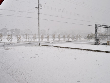 大雪だ