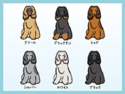 アフガンハウンドのイラスト