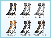 ボーダーコリーのイラスト