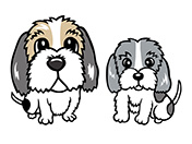 プチバセのイラスト