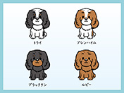 キャバリアのイラスト