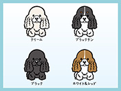アメリカンコッカースパニエルのイラスト