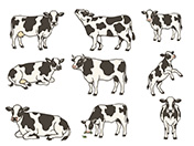 牛の手描きイラストセット-1