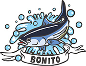 カツオの手描きイラスト-1