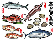 春が旬の魚介イラスト-1