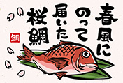 真鯛のポストカード