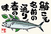 鰆のポストカード