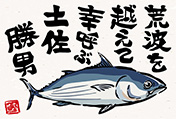 カツオのポストカード